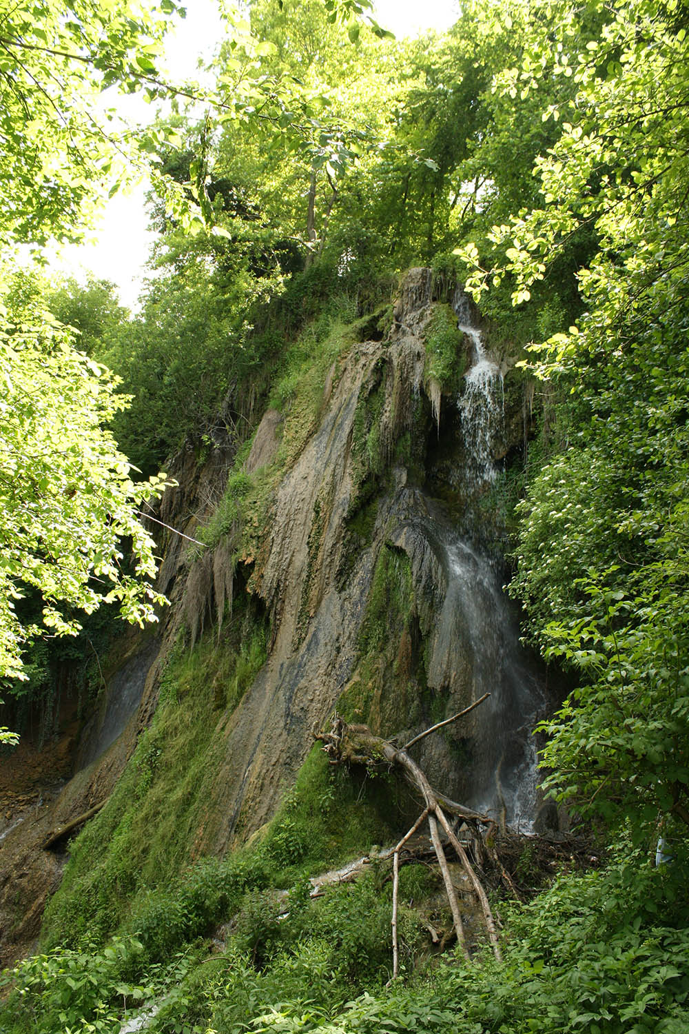 059.3. Repede Camelia. Cascada nimanui Geoagiu Bai, Hunedoara)