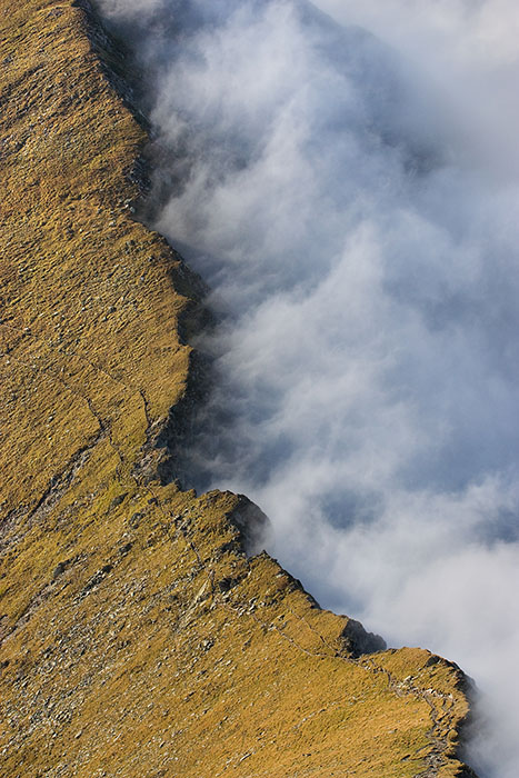 Tectonic
